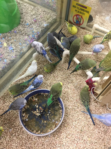 Pet Supply Store «Pet Supermarket», reviews and photos, 1809 S University Dr, Davie, FL 33324, USA