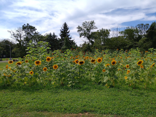 Museum «East Jersey Old Town Village», reviews and photos, 1050 River Rd, Piscataway Township, NJ 08854, USA