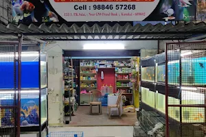 Anu sha aquarium &pets image