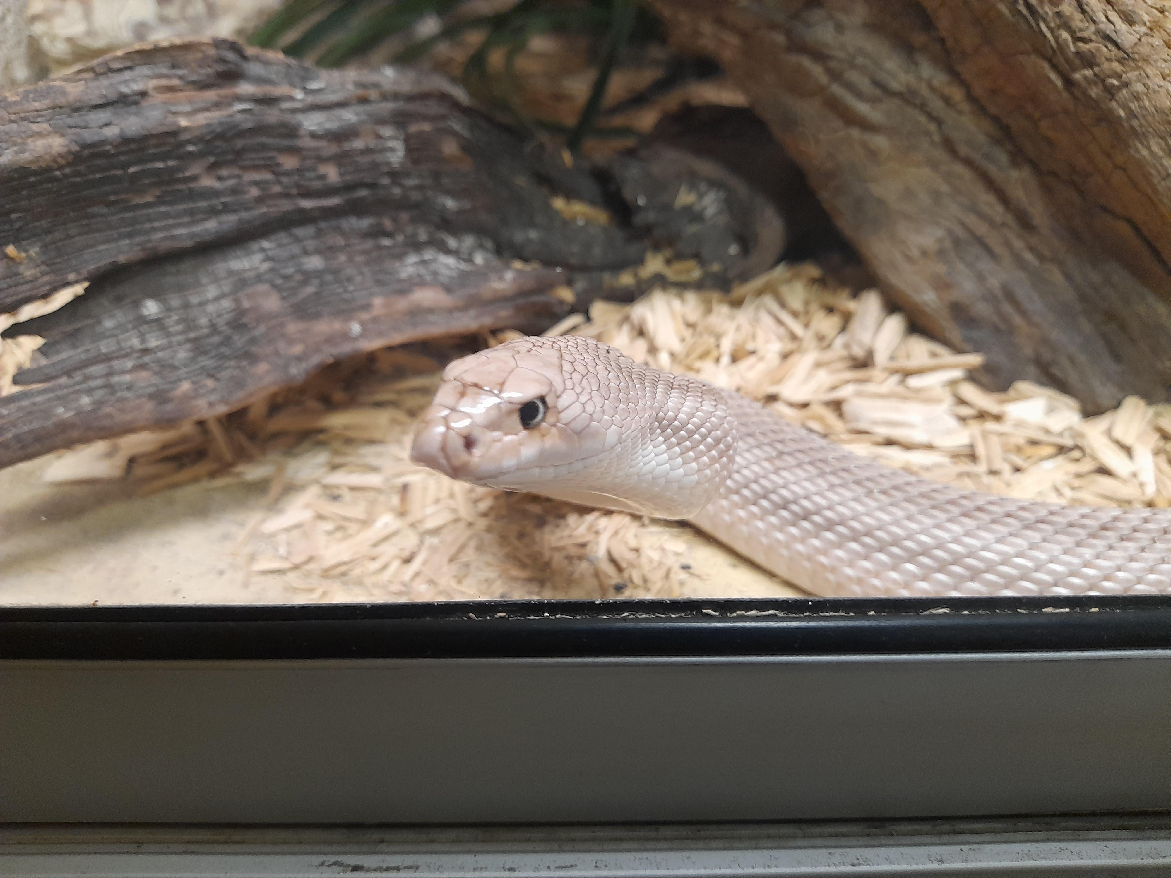 Photo n° 1 de l'avis de Elodie.u fait le 16/08/2023 à 18:37