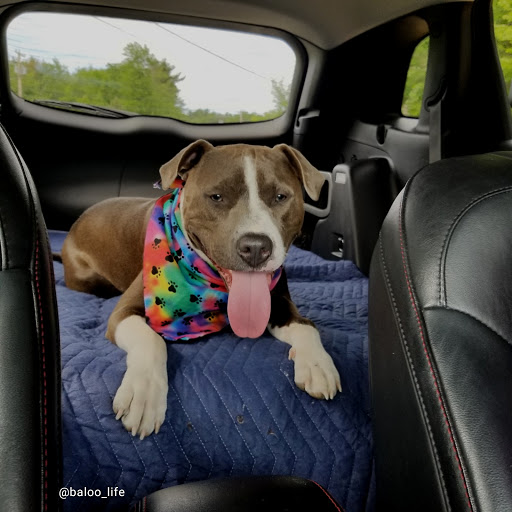 Car Dealer «Tri-City Chrysler Dodge Jeep Ram», reviews and photos