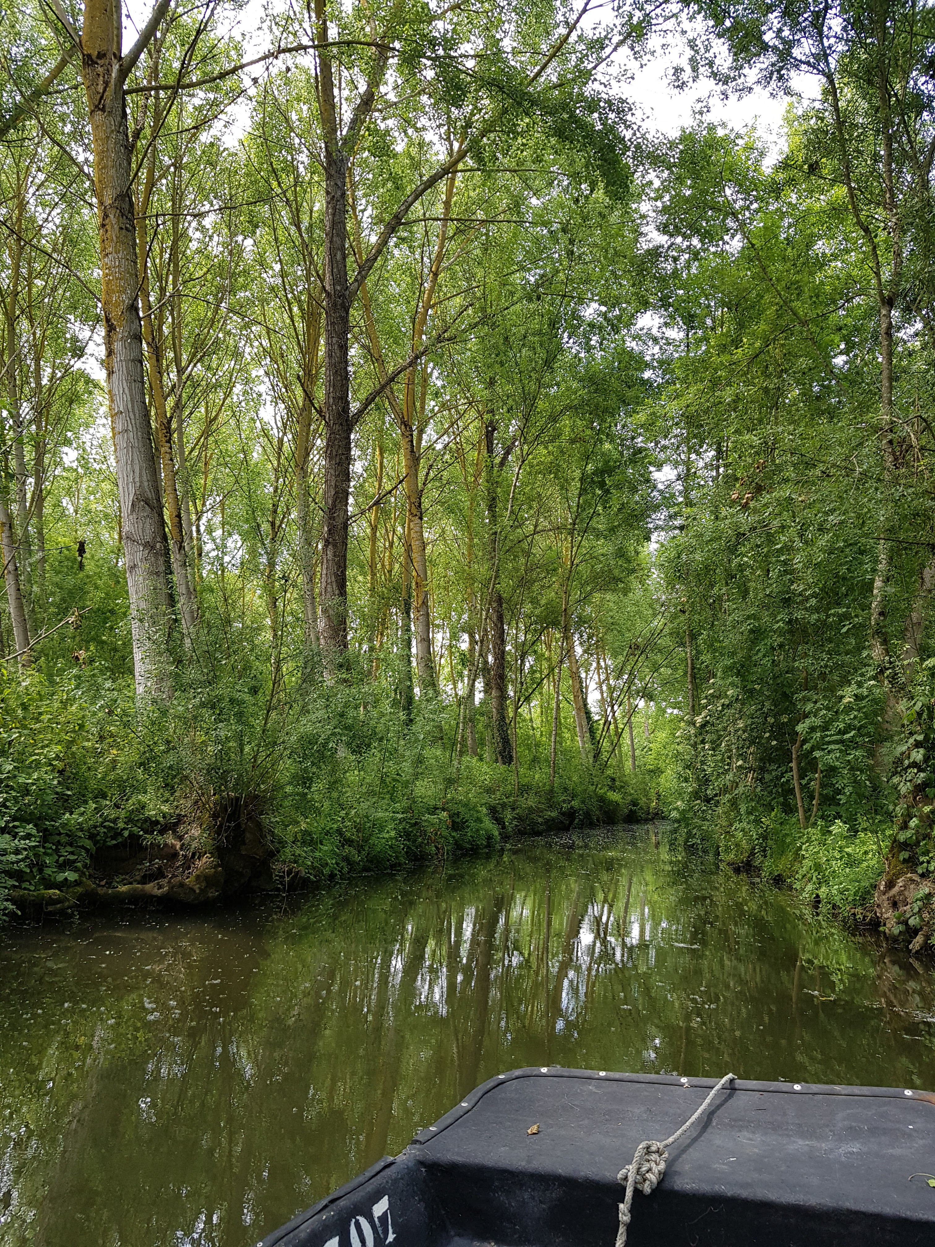 Photo n° 5 de l'avis de Valérie.o fait le 26/05/2019 à 19:26