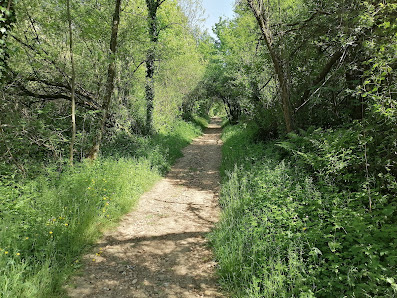 Bois de Sacuny Chem. de Bernicot, 69230 Saint-Genis-Laval, France