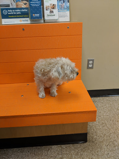 Pet Supply Store «PetSmart», reviews and photos, 5521 Mirage St, Yorba Linda, CA 92887, USA