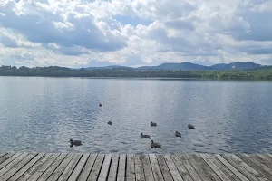 Lake Olbersdorf image