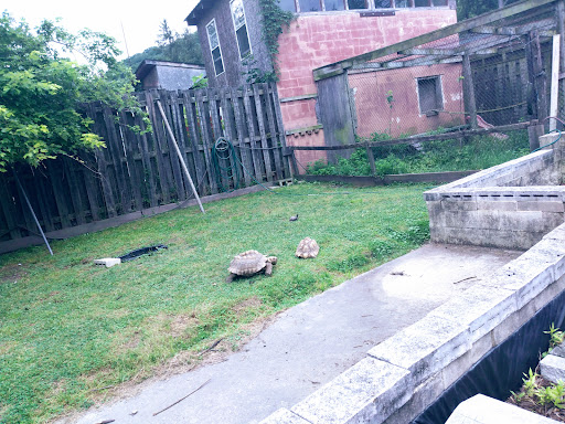 Zoo «Tri-State Zoological Park», reviews and photos, 10105 Cottage Inn Ln NE, Cumberland, MD 21502, USA