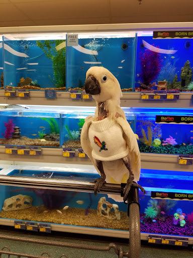 Pet Supply Store «PetSmart», reviews and photos, 10830 Olson Dr, Rancho Cordova, CA 95670, USA