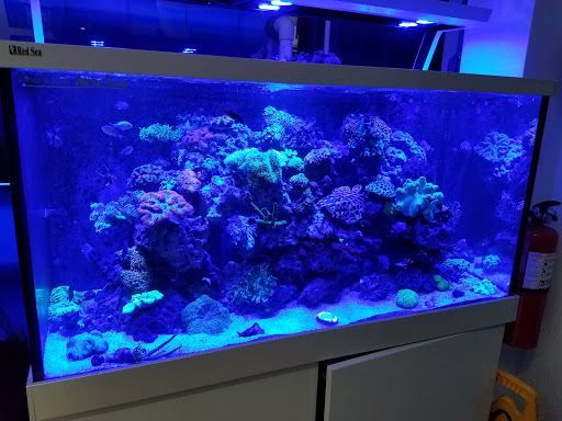 Tropical Fish Store «Aquarium Village», reviews and photos, 461 Old Country Rd, Westbury, NY 11590, USA