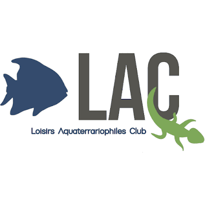 Loisirs Aquaterrariophiles Club à Ronchin