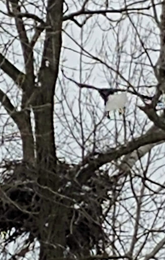 Nature Preserve «Marais Temps Clair Conservation Area», reviews and photos, 5134 Island Road, St Charles, MO 63301, USA