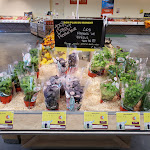 Photo n° 3 de l'avis de charles-antoine.e fait le 30/04/2024 à 17:34 pour Otera Frejus à Fréjus