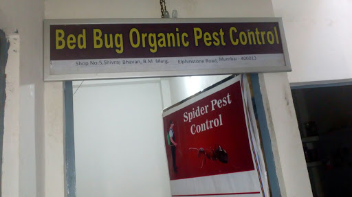 Bed Bug Organic Pest Control