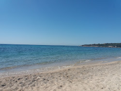 Photo de Figari beach avec un niveau de propreté de très propre