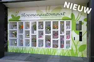 Bloemen & decoratie | Vanallemeersch-Deraedt image