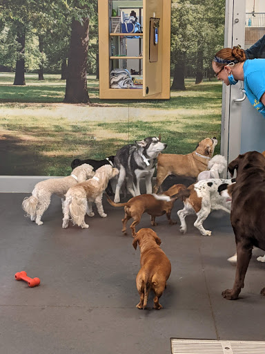 Pet Supply Store «PetSmart», reviews and photos, 2901 Agua Fria Fwy, Phoenix, AZ 85027, USA