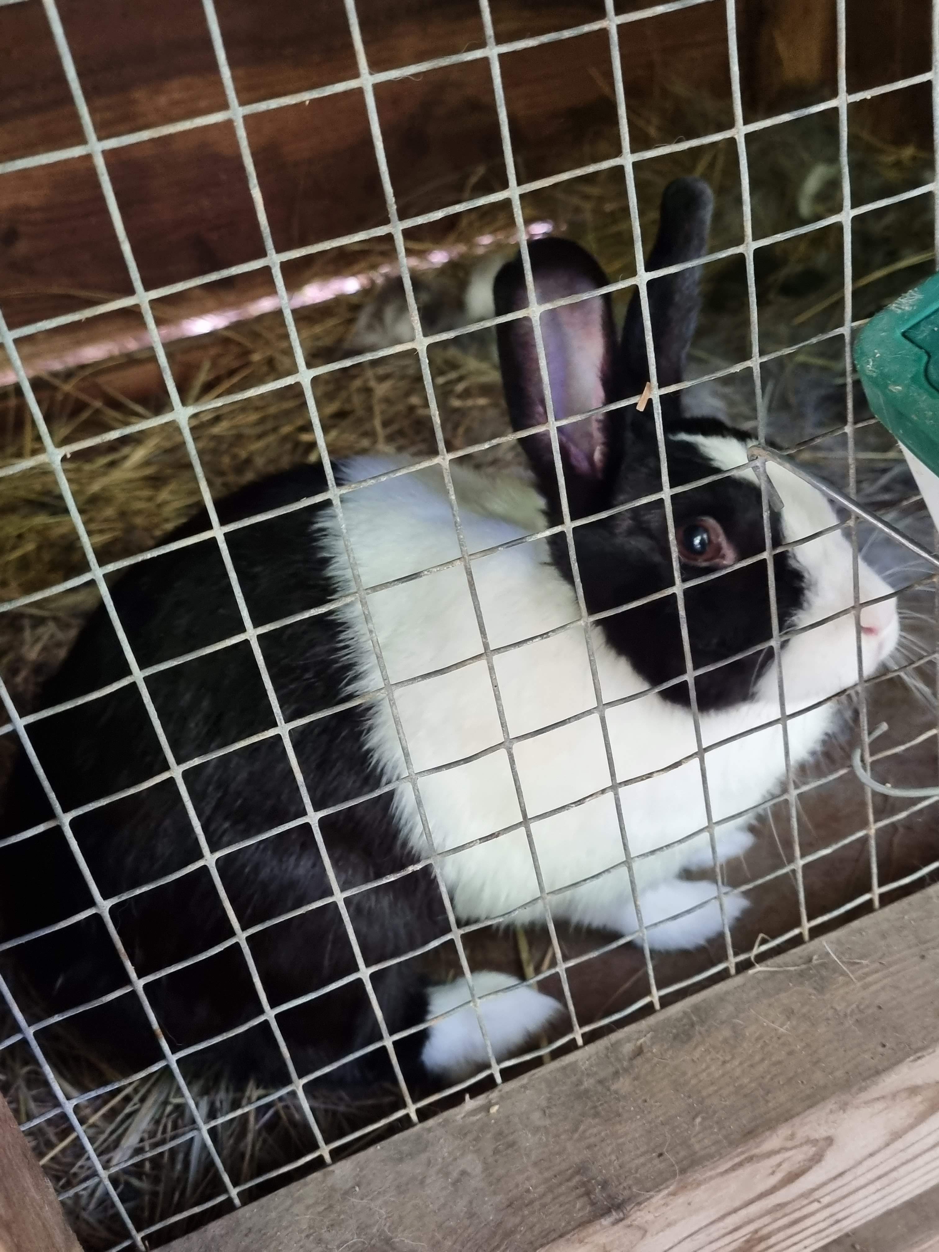 Photo n° 9 de l'avis de Laetitia.a fait le 27/08/2022 à 15:00