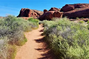 Chuckwalla Trail Head image