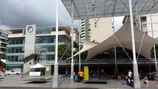 Estacionamiento Plaza Los Palos Grandes