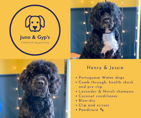 Juno & Gypï¿½s