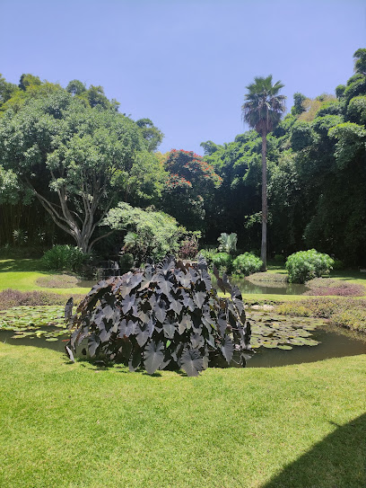 Jardín Huayacán