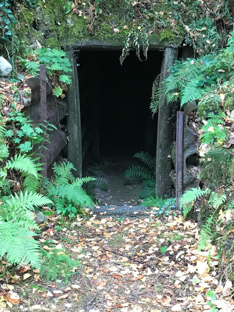 Photo n° 15 de l'avis de chiel.o fait le 26/09/2020 à 12:37