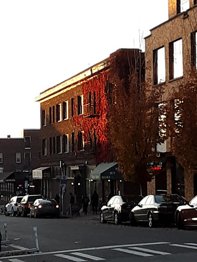 Used Book Store «Magus Books», reviews and photos, 1408 NE 42nd St, Seattle, WA 98105, USA