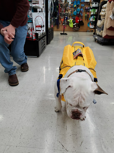 Pet Supply Store «Copper Creek Mercantile», reviews and photos, 4415 River Rd N, Keizer, OR 97303, USA