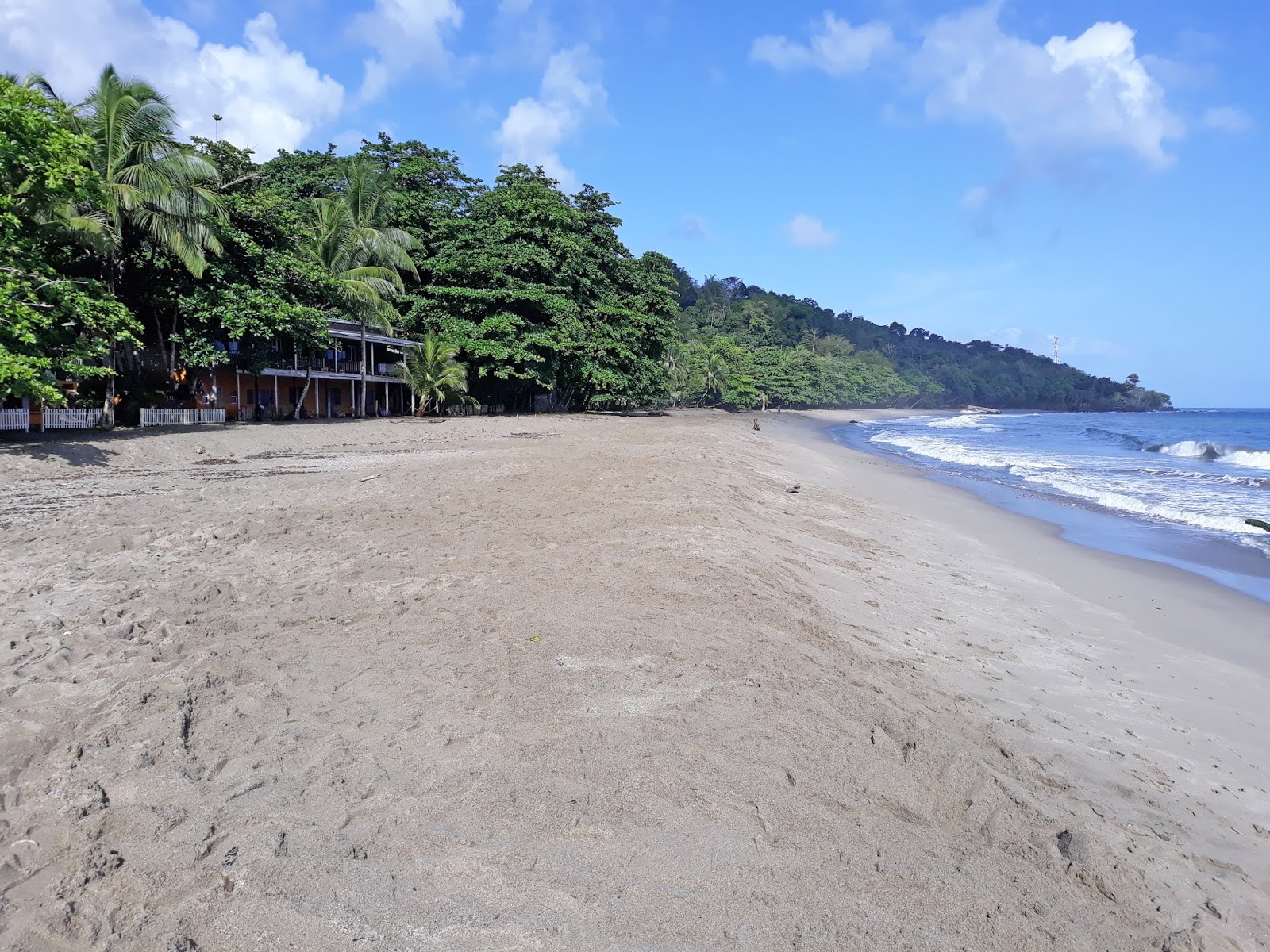 Grand Riviere beach'in fotoğrafı parlak kum yüzey ile