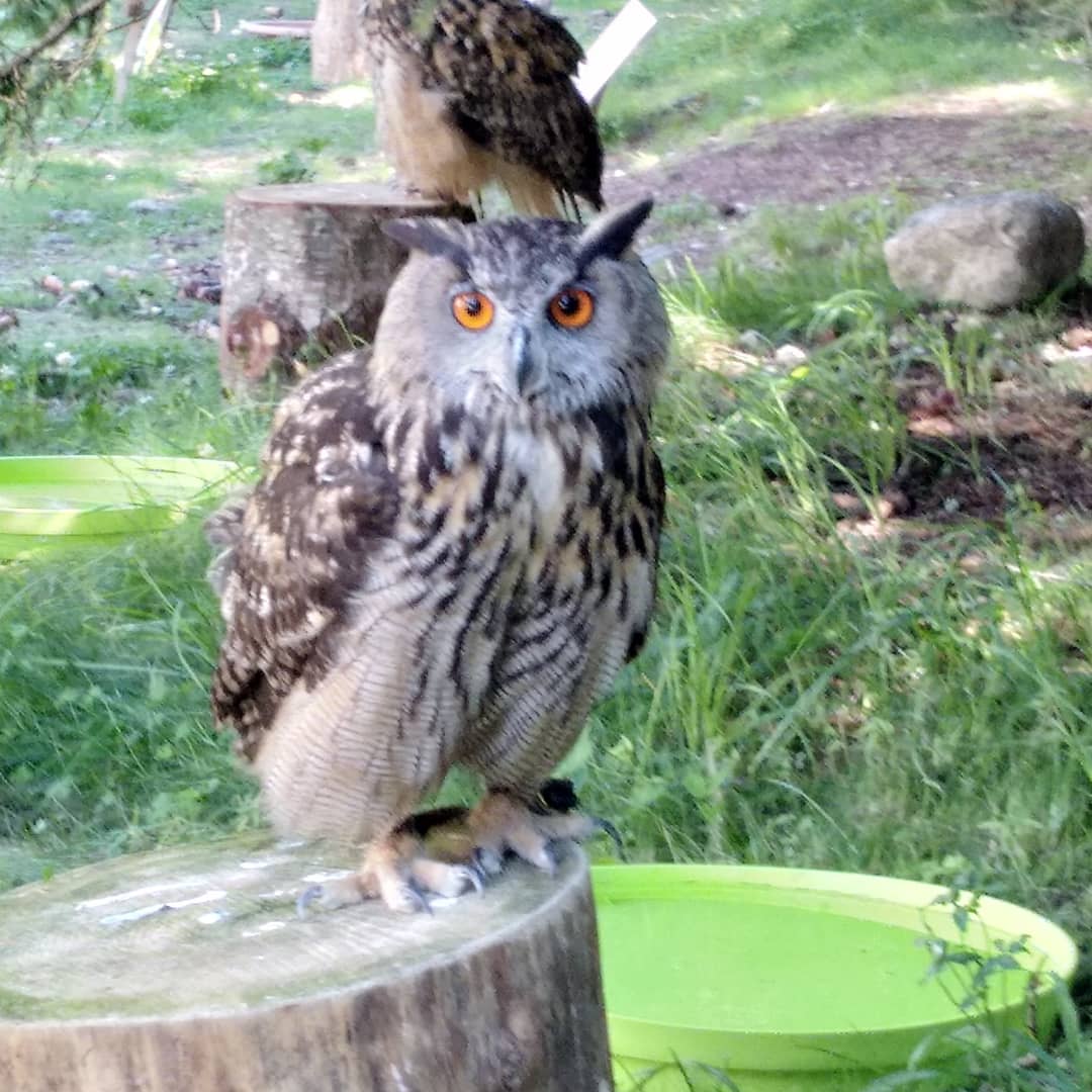 Photo n° 2 de l'avis de Cm.o fait le 16/08/2018 à 11:15