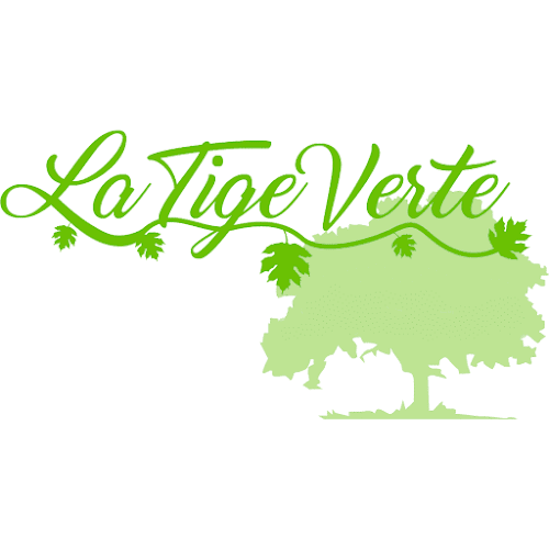 La Tige Verte - Yverdon-les-Bains
