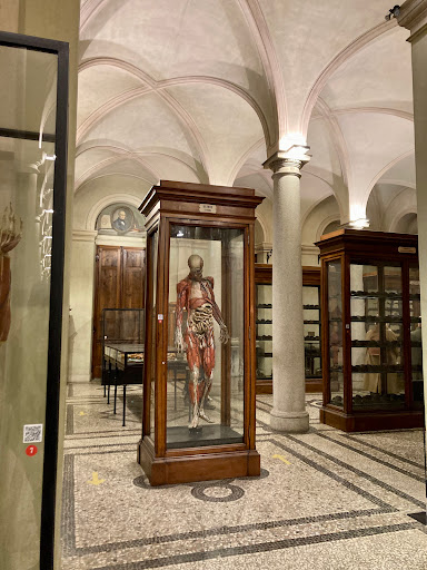 ​Museo di Anatomia Umana Luigi Rolando