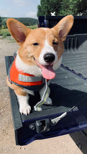 Pet Supply Store «Petco Animal Supplies», reviews and photos, 2450 Monarch Dr #105, Laredo, TX 78045, USA