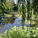 Photo n° 6 de l'avis de Valérie.A fait le 23/10/2022 à 22:13 pour Le Jardin d'Eau à Giverny