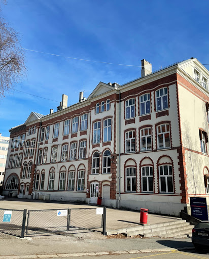 Skoler studiepedagog Oslo