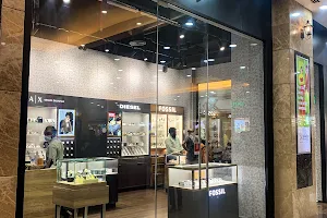 Fossil Store image