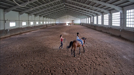 Club Hípico Zolina - Escuela de equitación Zolin - NA-2310, Km. 6, 31192, Navarra, Spain