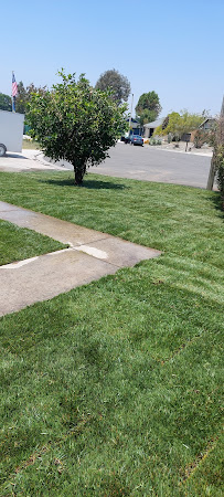 Vicente Gardening Service - Photo 4 - Car repair in Riverside, CA, Riverside