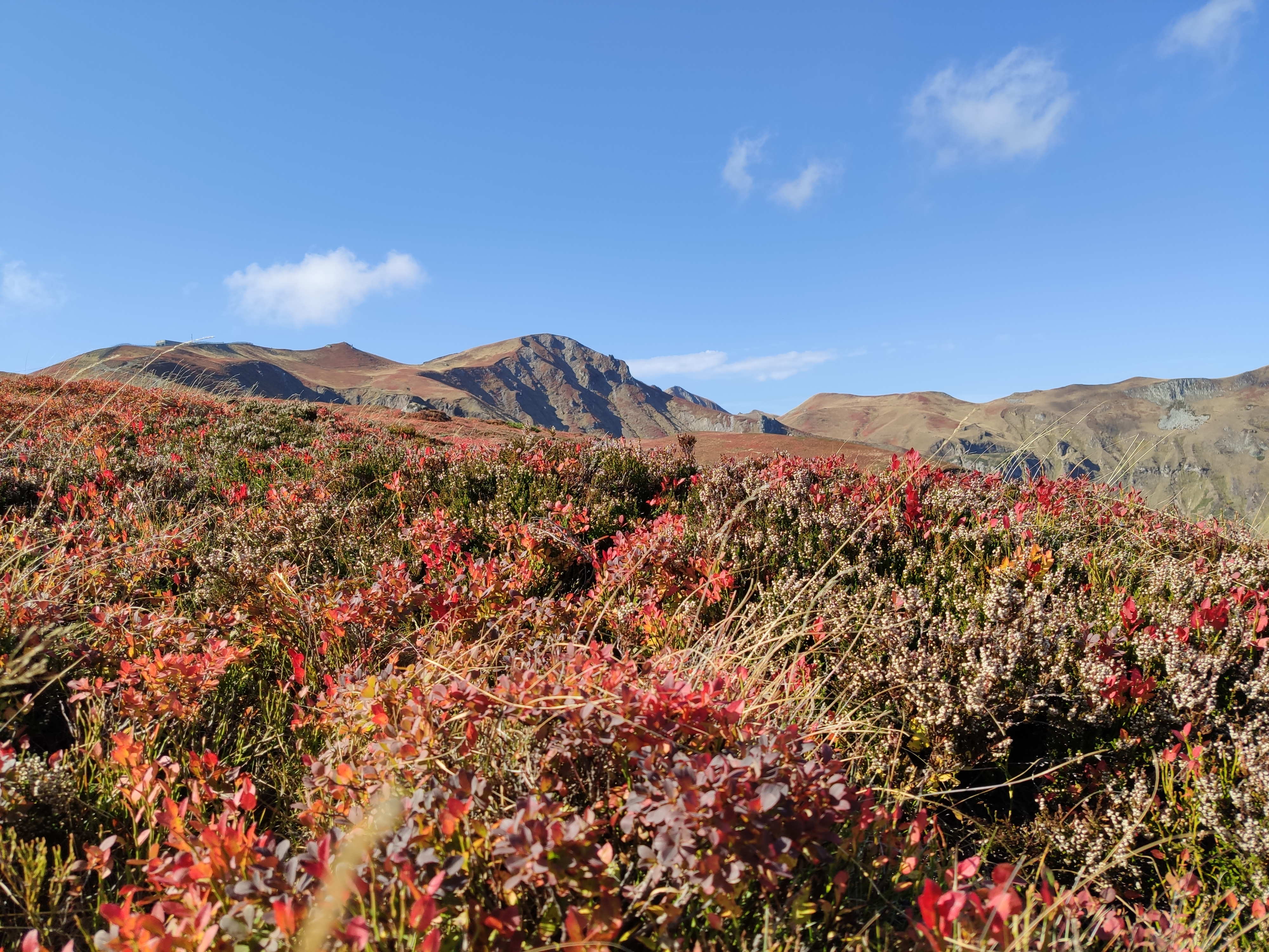 Photo n° 8 de l'avis de Florent.r fait le 13/10/2019 à 14:22