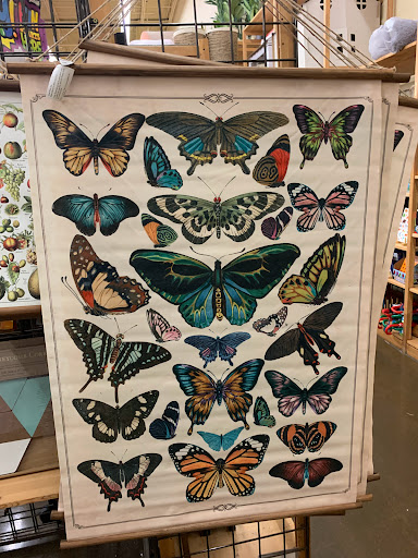 Furniture Store «Cost Plus World Market», reviews and photos, 4600 Shelbyville Rd Suite 607, Louisville, KY 40207, USA