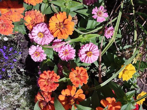 Shopping Mall «Sugar House Shopping Center», reviews and photos, 2274 S 1300 E, Salt Lake City, UT 84106, USA