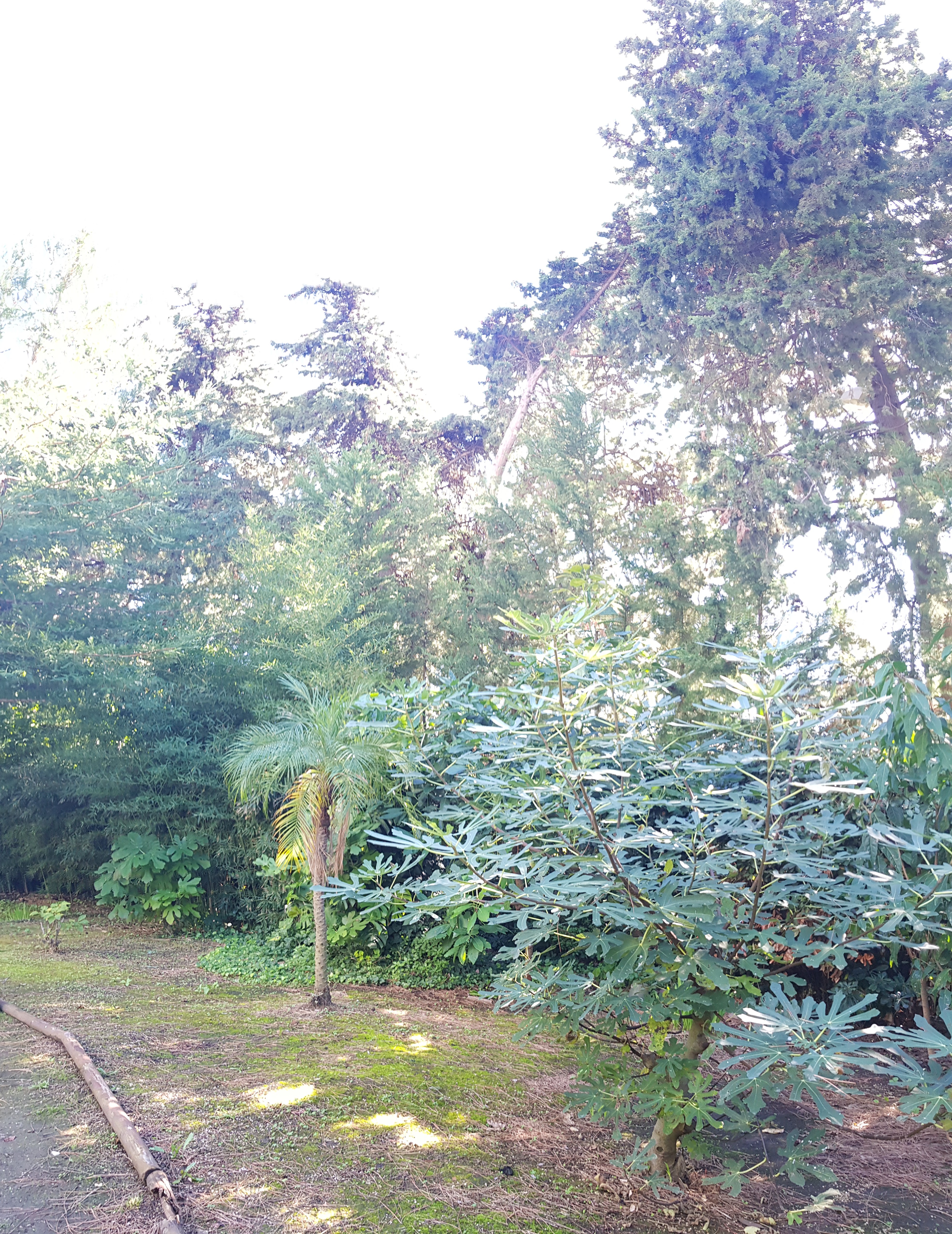 Photo n° 9 de l'avis de Patricia.e fait le 12/10/2020 à 12:56