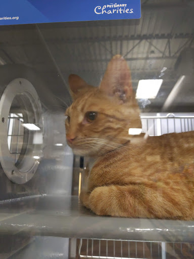 Pet Supply Store «PetSmart», reviews and photos, 3780 Riverchase Village #300, Hoover, AL 35244, USA