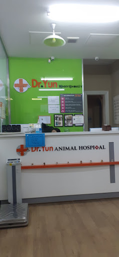 Dr. Yun Animal Hospital - Dr. Yun 동물병원