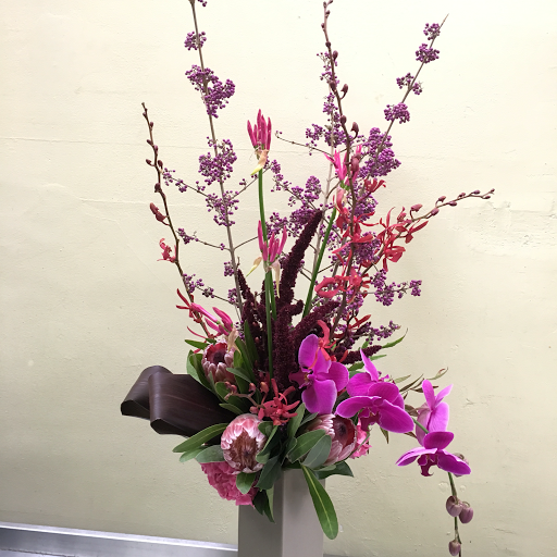 Florist «Orchid Florist», reviews and photos, 1768 Solano Ave, Berkeley, CA 94707, USA