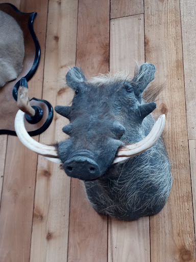 Pawn Shop «24 Hour Pawn Inc», reviews and photos, 407 W Jefferson Blvd, Dallas, TX 75208, USA