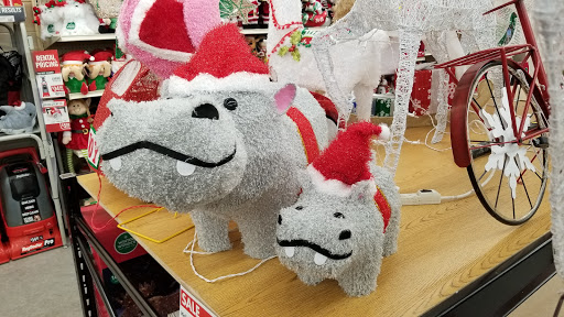 Discount Store «Big Lots», reviews and photos, 775 S Orange Blossom Trail, Apopka, FL 32703, USA