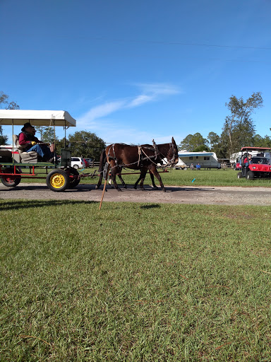 Mule Day, Calvary, GA image 2