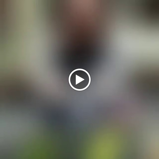 Florist «The Frugal Flower», reviews and photos, 736 Boston Post Rd, Sudbury, MA 01776, USA