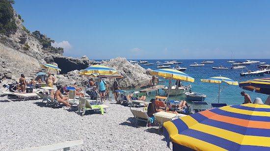 Spiaggia della Vite
