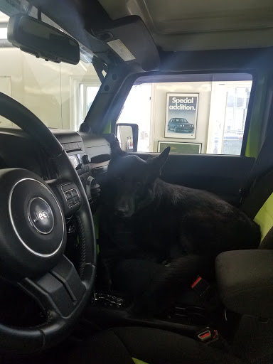 Used Car Dealer «Bonalle Auto Sales and Repair», reviews and photos, 501 E Penn Ave, Cleona, PA 17042, USA